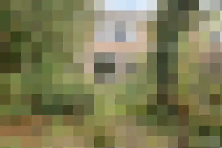 Het Menkveld 36 Warnsveld thumbnail 31