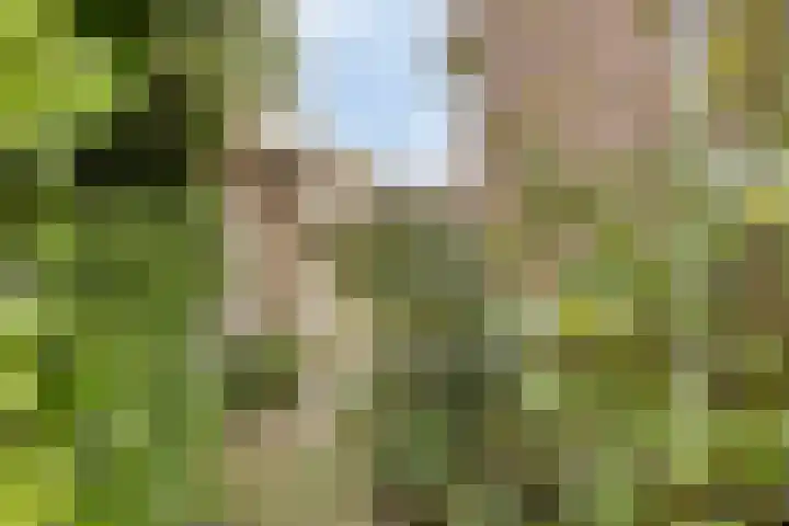 Het Menkveld 36 Warnsveld thumbnail 32