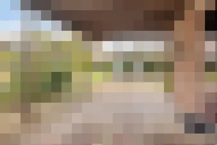 Het Menkveld 36 Warnsveld thumbnail 35