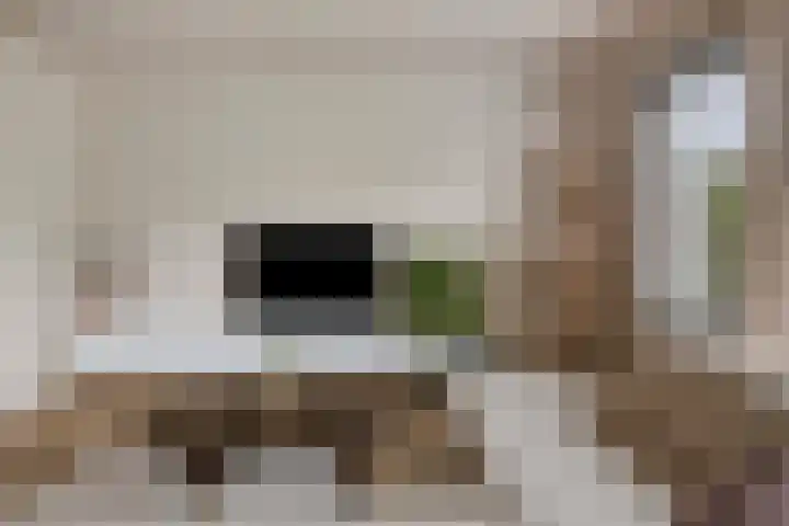 Het Menkveld 36 Warnsveld thumbnail 5