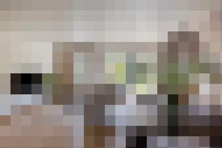 Het Menkveld 36 Warnsveld thumbnail 8