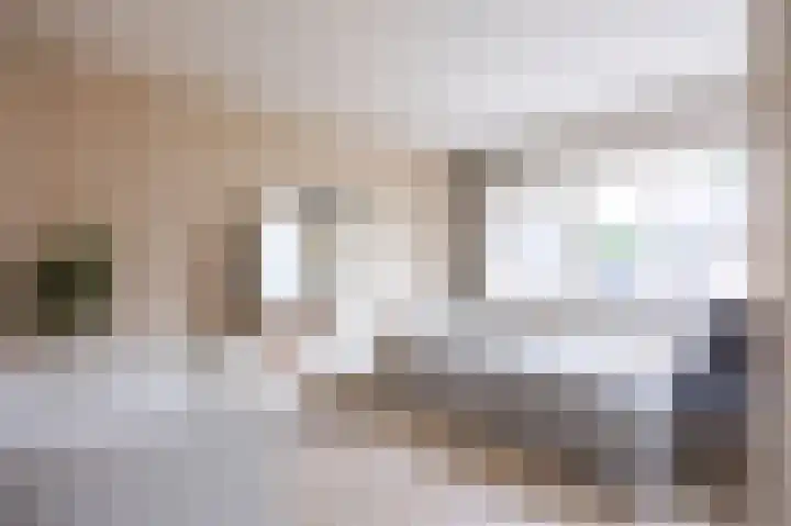 Het Moor 42 Niekerk thumbnail 21