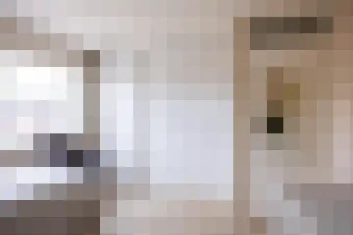 Het Moor 42 Niekerk thumbnail 22