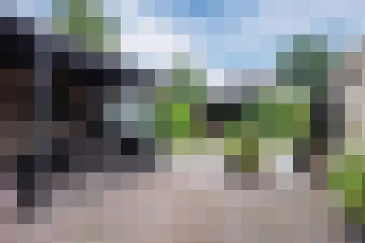 Het Moor 42 Niekerk thumbnail 31