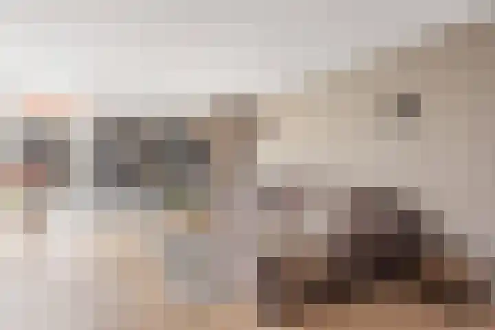 Het Nardusboer 1 Oldenzaal thumbnail 10