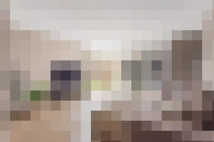 Het Nardusboer 1 Oldenzaal thumbnail 11