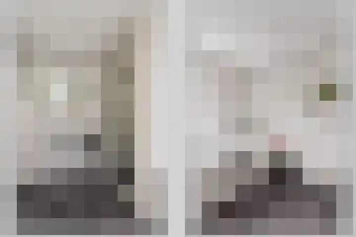 Het Nardusboer 1 Oldenzaal thumbnail 14
