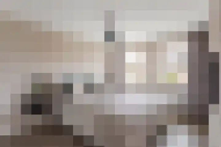 Het Nardusboer 1 Oldenzaal thumbnail 15