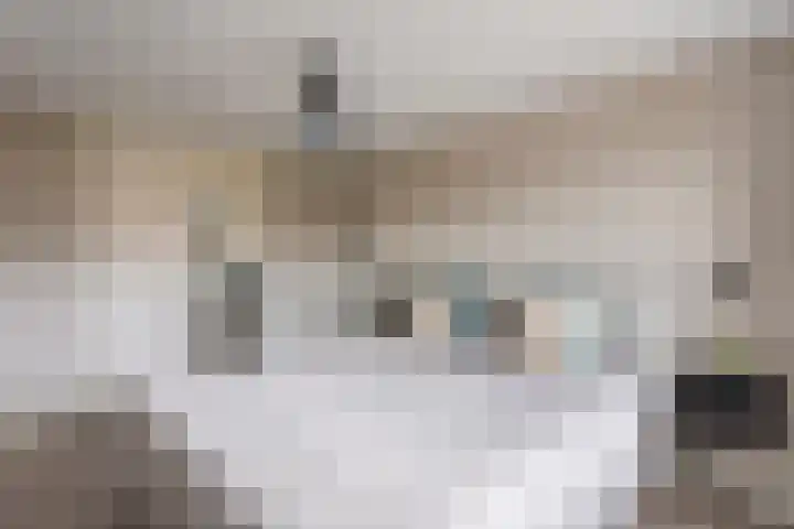 Het Nardusboer 1 Oldenzaal thumbnail 16