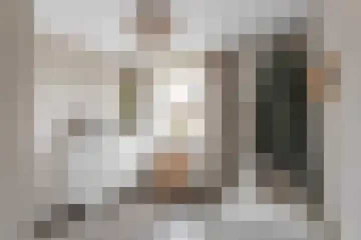 Het Nardusboer 1 Oldenzaal thumbnail 18