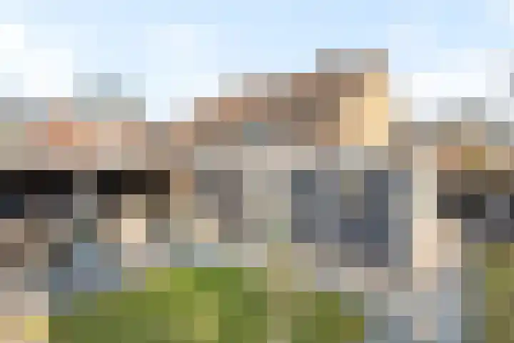Het Nardusboer 1 Oldenzaal thumbnail 20