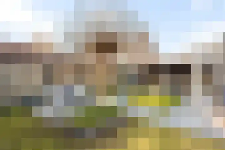 Het Nardusboer 1 Oldenzaal thumbnail 22