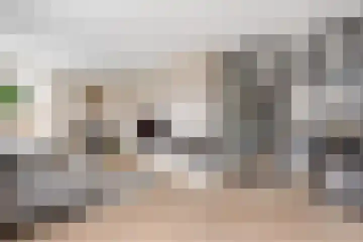 Het Nardusboer 1 Oldenzaal thumbnail 7