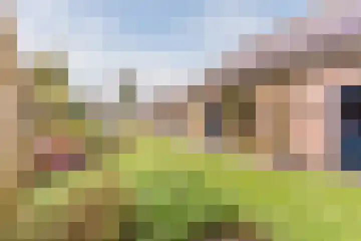 Het Nieveld 35 Casteren thumbnail 30