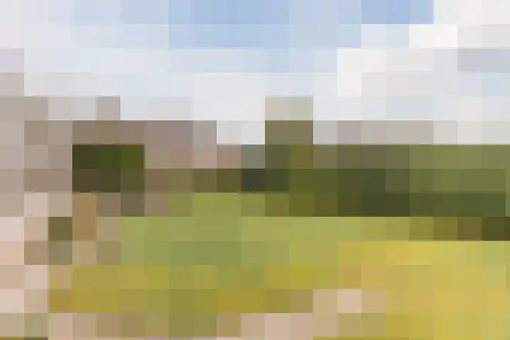 Het Nieveld 35 Casteren thumbnail 32