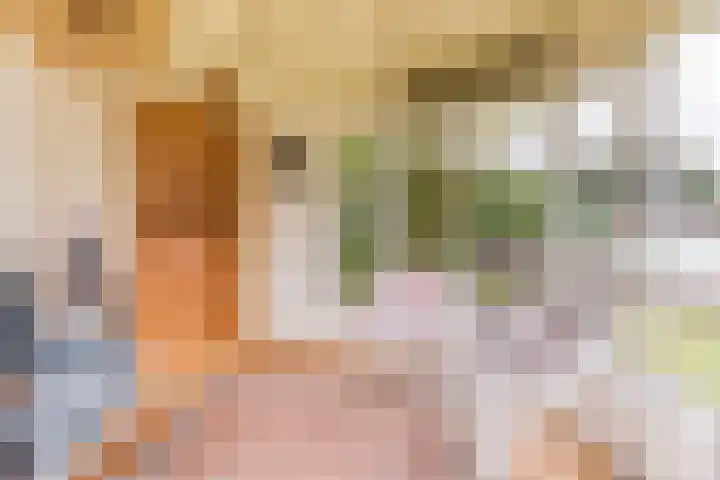 Het Nieveld 35 Casteren thumbnail 36