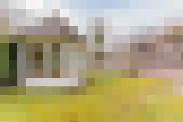 Het Nieveld 35 Casteren thumbnail 37