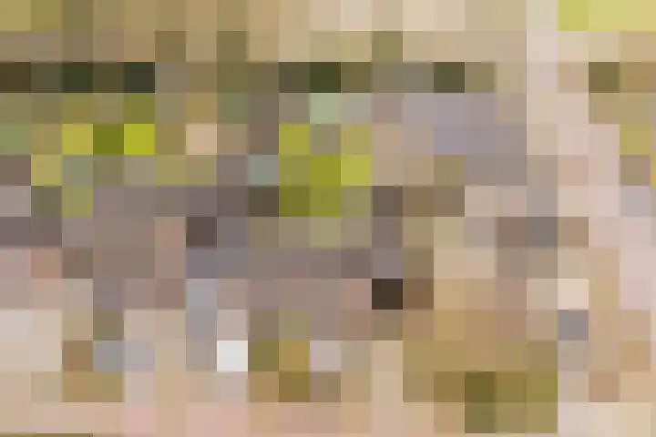 Het Nieveld 35 Casteren thumbnail 51