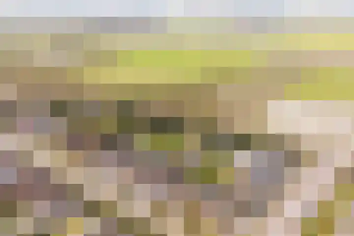 Het Nieveld 35 Casteren thumbnail 54