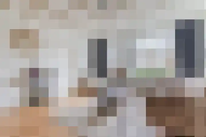 Het Nieveld 35 Casteren thumbnail 9
