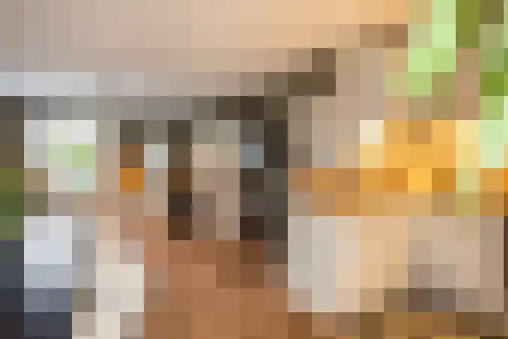 Het Nijhof 45 Enschede thumbnail 12