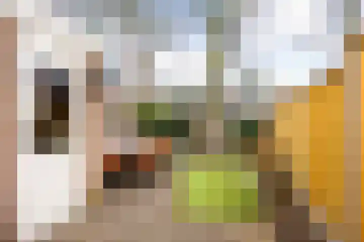 Het Nijhof 45 Enschede thumbnail 22