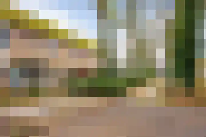 Het Nijhof 45 Enschede thumbnail 26