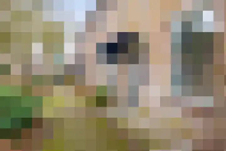 Het Nijhof 45 Enschede thumbnail 27