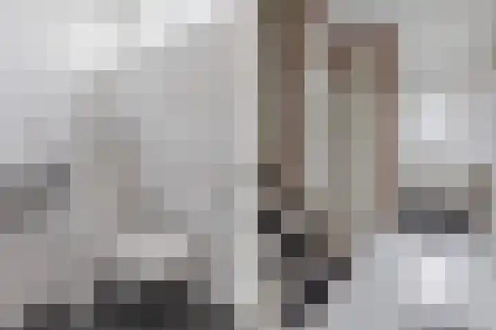 het Noord 20 Ens thumbnail 14