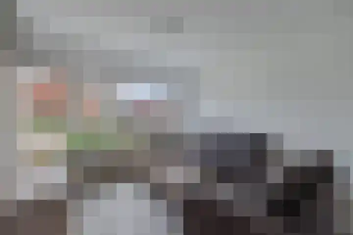 het Noord 20 Ens thumbnail 15
