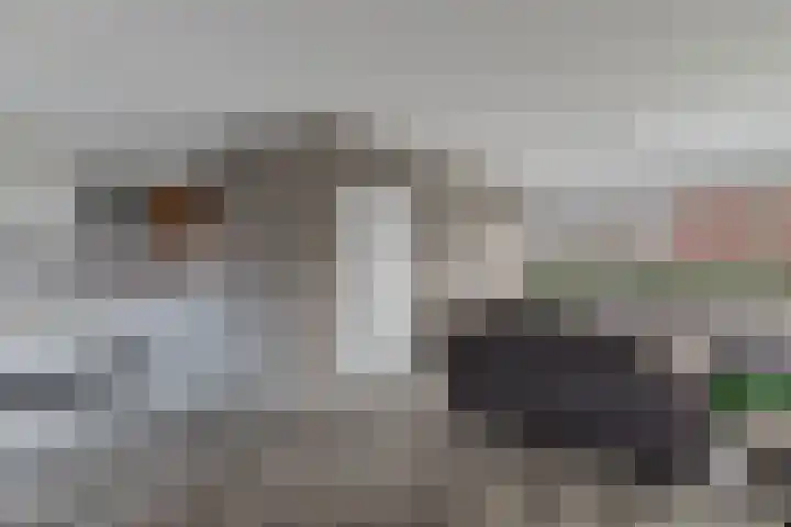 het Noord 20 Ens thumbnail 20