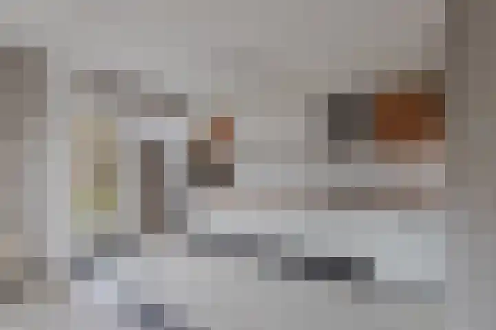 het Noord 20 Ens thumbnail 23