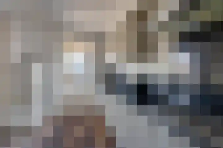 het Noord 20 Ens thumbnail 33