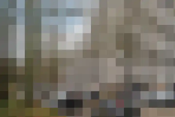 het Noord 20 Ens thumbnail 37