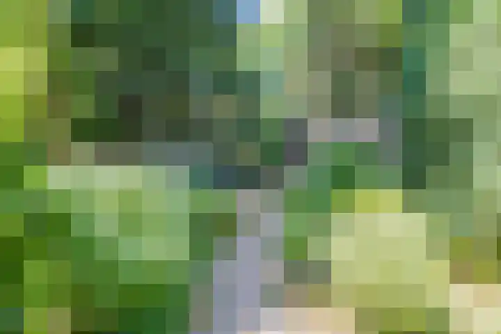 Het Nuesink 39 Eefde