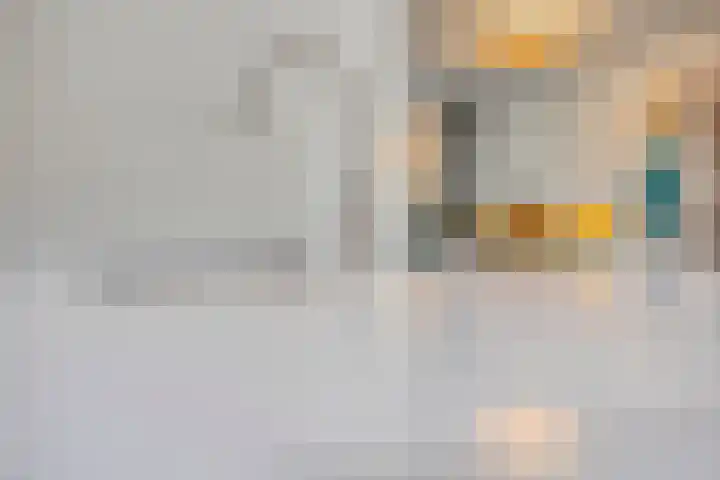Het Nuesink 39 Eefde thumbnail 13