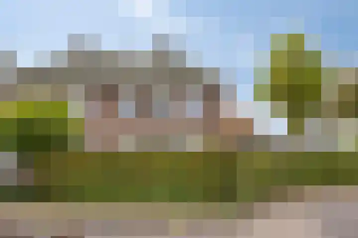 Het Nuesink 39 Eefde foto 2