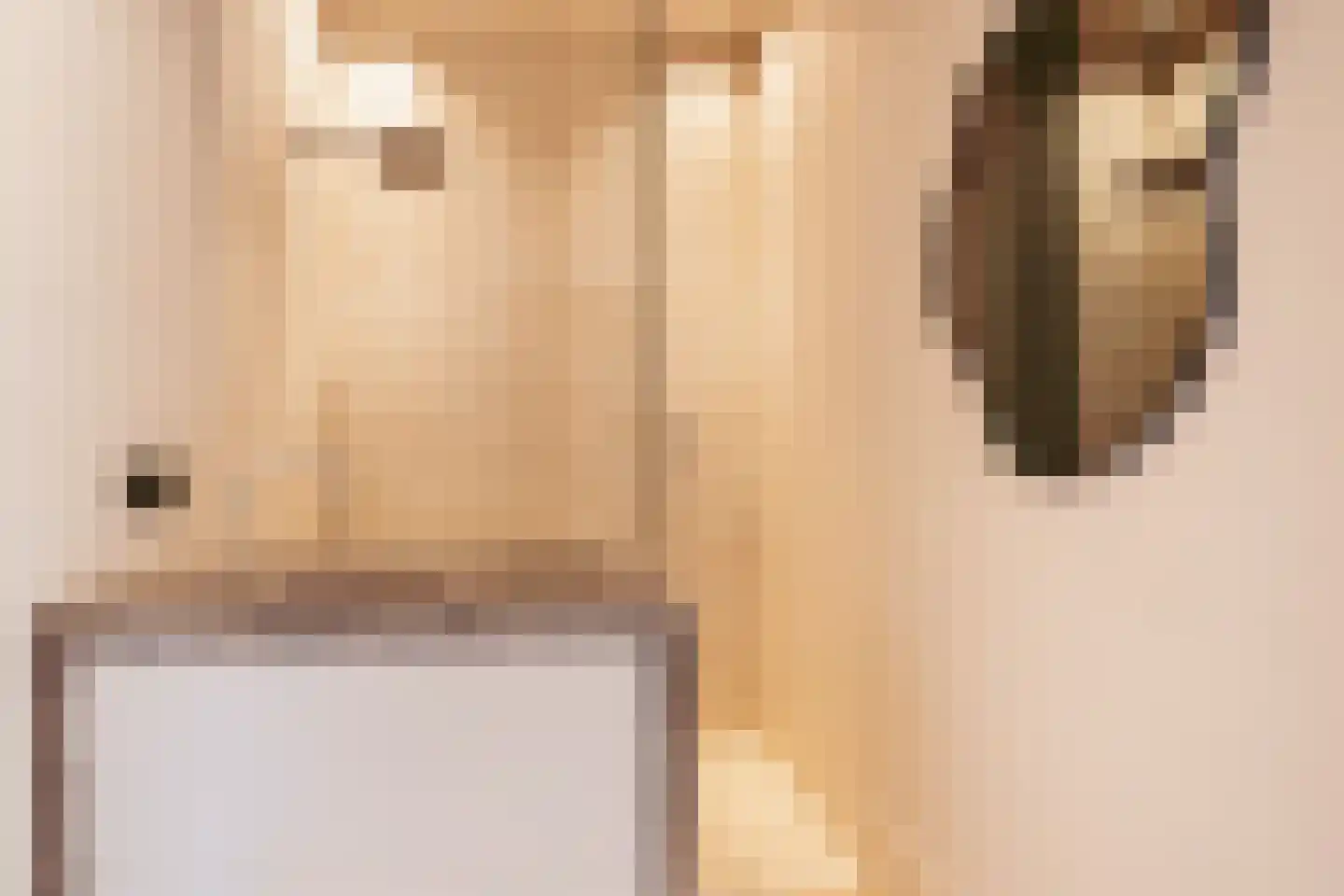 Het Nuesink 39 Eefde thumbnail 28