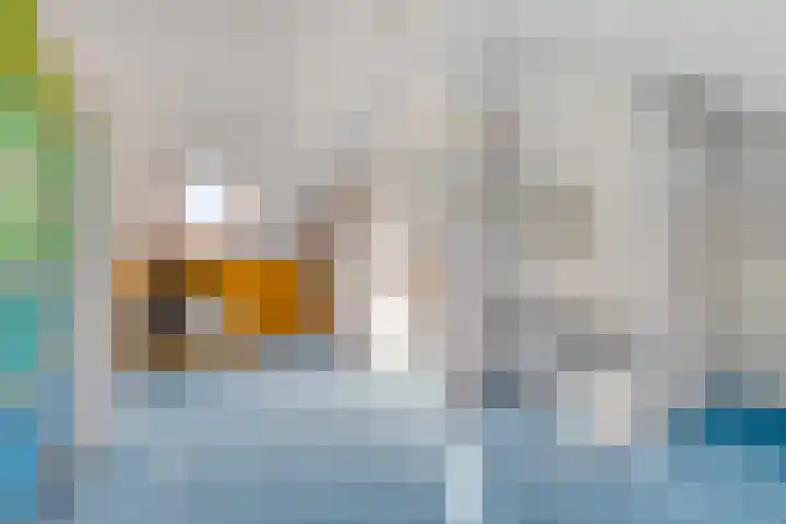 Het Nuesink 39 Eefde thumbnail 29