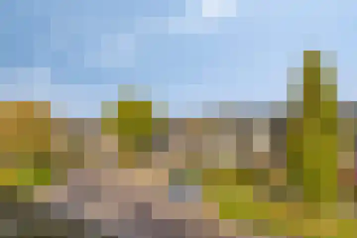 Het Nuesink 39 Eefde thumbnail 33