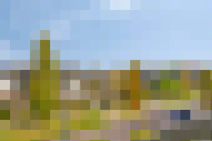 Het Nuesink 39 Eefde thumbnail 34