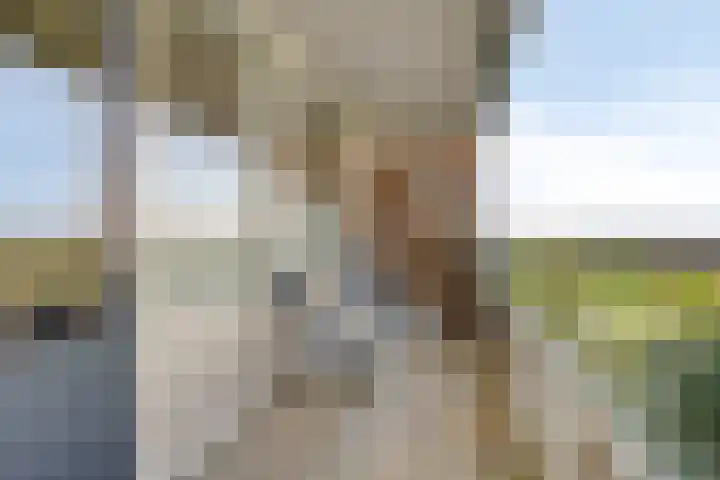 Het Nuesink 39 Eefde thumbnail 38