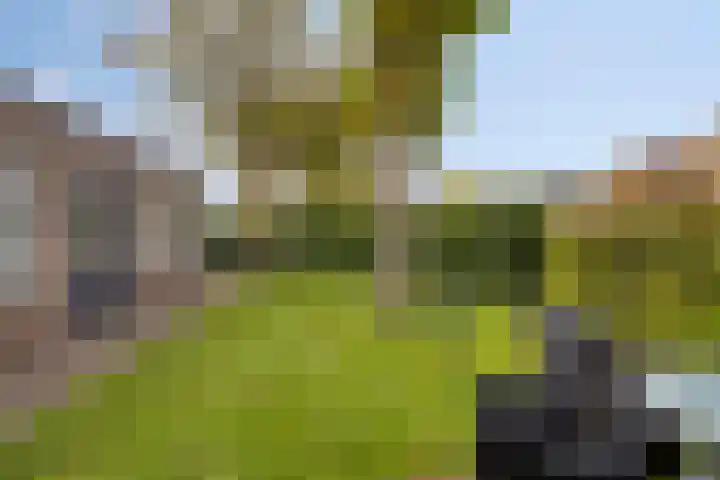 Het Nuesink 39 Eefde thumbnail 41