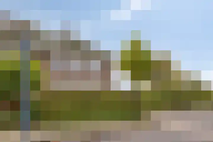 Het Nuesink 39 Eefde thumbnail 42