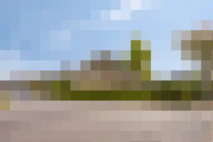 Het Nuesink 39 Eefde thumbnail 44