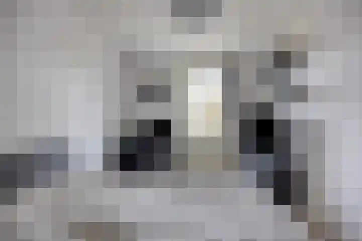 Het Oerd 18 Hoofddorp thumbnail 27