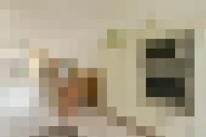 Het Oerd 61 Hoofddorp thumbnail 7