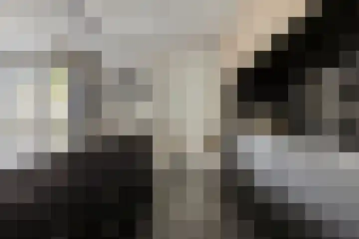 Het Oldehof 5 Appelscha thumbnail 18