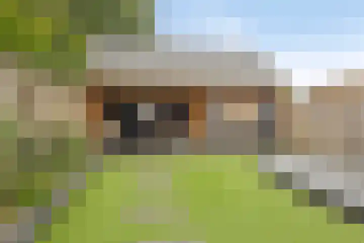 Het Oldehof 5 Appelscha thumbnail 35