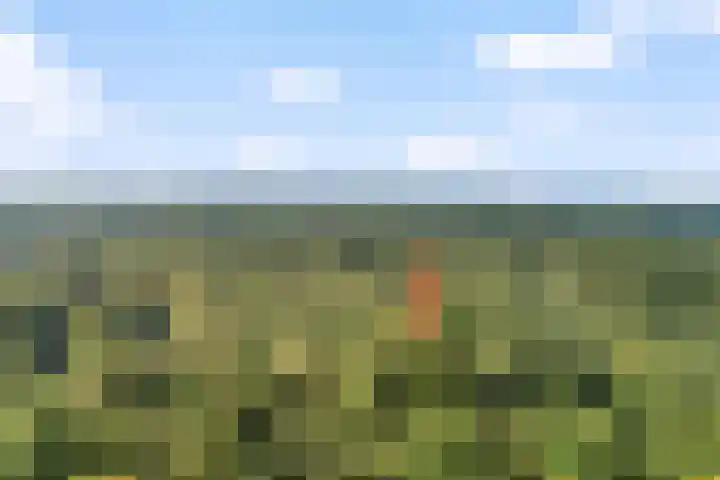 Het Oldehof 5 Appelscha thumbnail 41